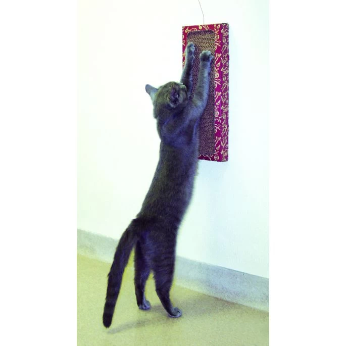 Cat Dancer Wall Scratcher - Afbeelding 2