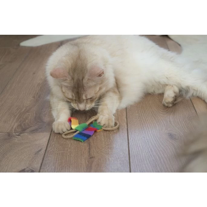 Cat Dancer Chaser 6-Pack - Afbeelding 2