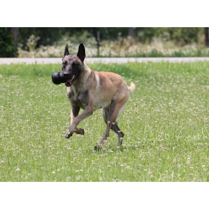 KONG Extreme S 7,6 Cm - Afbeelding 3