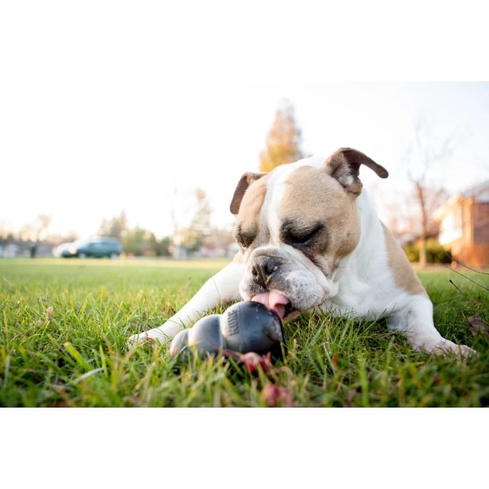 KONG Extreme S 7,6 Cm - Afbeelding 5