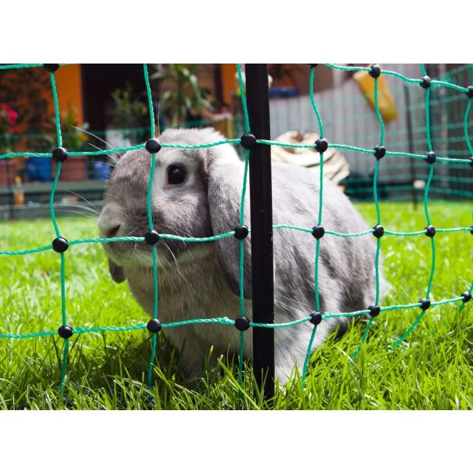 Excellent Net Afrast Konijn 65 Cm, Enkelpunt 12 M. - Afbeelding 5
