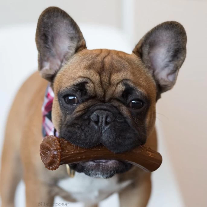 Pet Qwerks Nylon Peanut Antler L 15 Cm - Afbeelding 2