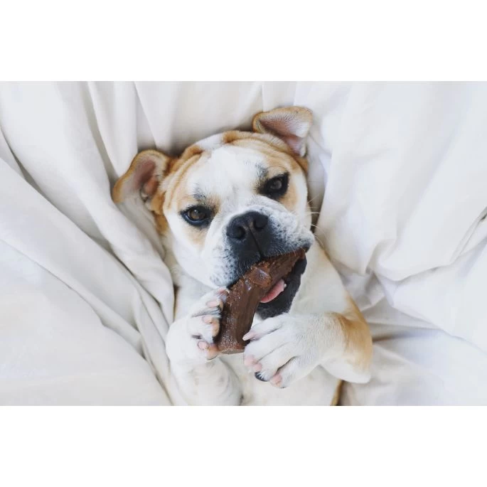 Pet Qwerks Nylon Peanut Antler L 15 Cm - Afbeelding 3