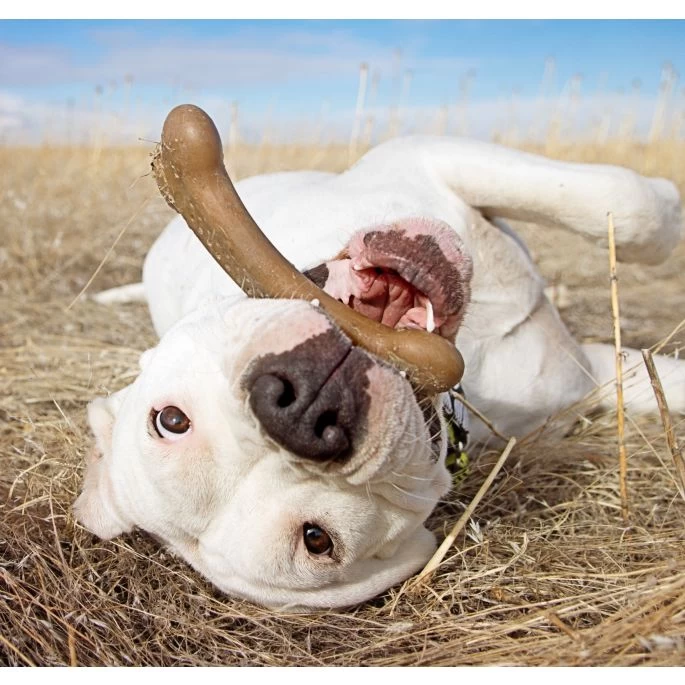 Pet Qwerks Flavorit Wood Bark Bone Mint Small - Afbeelding 4