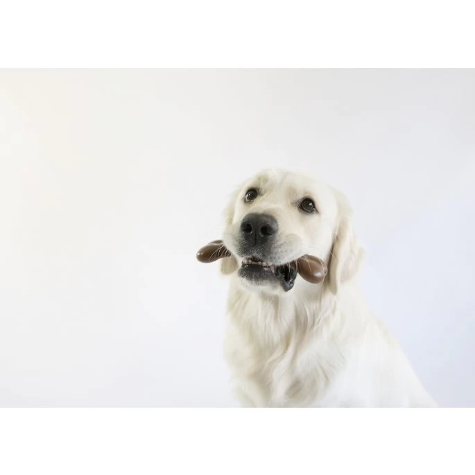 Pet Qwerks Flavorit Wood Bark Bone Mint Small - Afbeelding 5