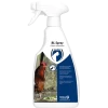 Excellent BL Spray 500 Ml