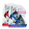 Pawise Kitten Harness Leash-Red/Blue