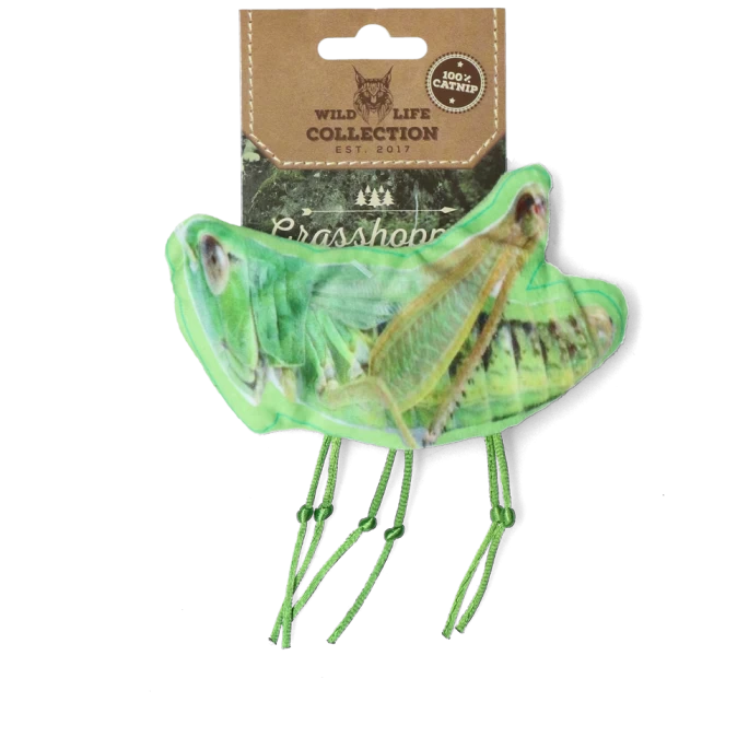 Wild Life Cat Sprinkhaan