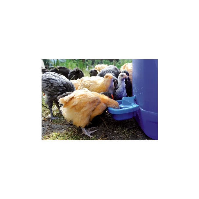 Excellent Drinkkom Pluimvee Voor Zelfmontage - Afbeelding 2