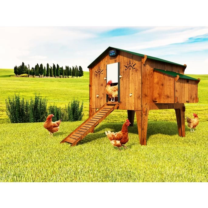 Kippenhok Polly Duplex 4 XL - Afbeelding 3