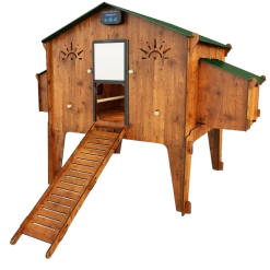 Kippenhok Polly Duplex 4 XL