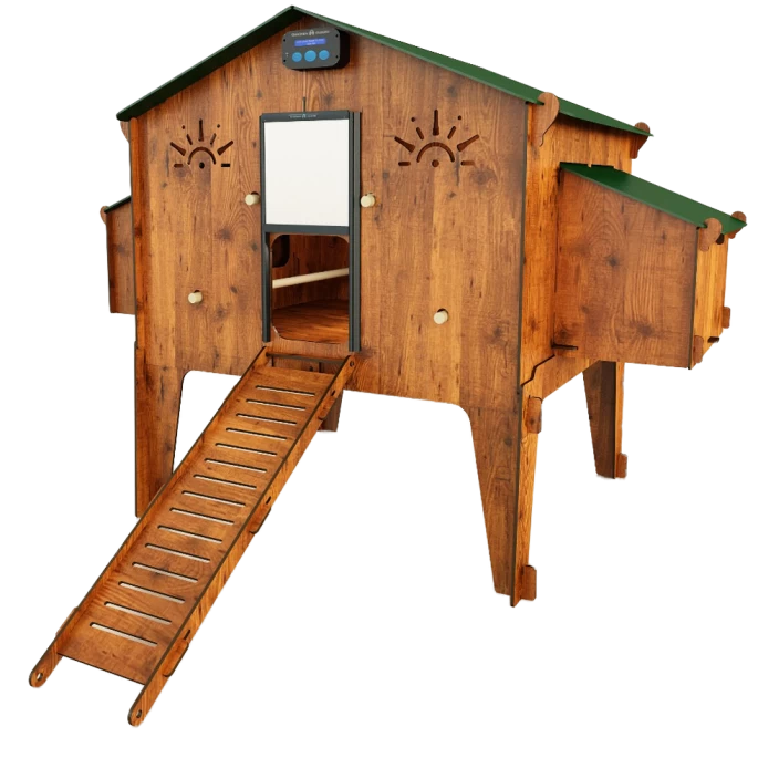 Kippenhok Polly Duplex 4 XL