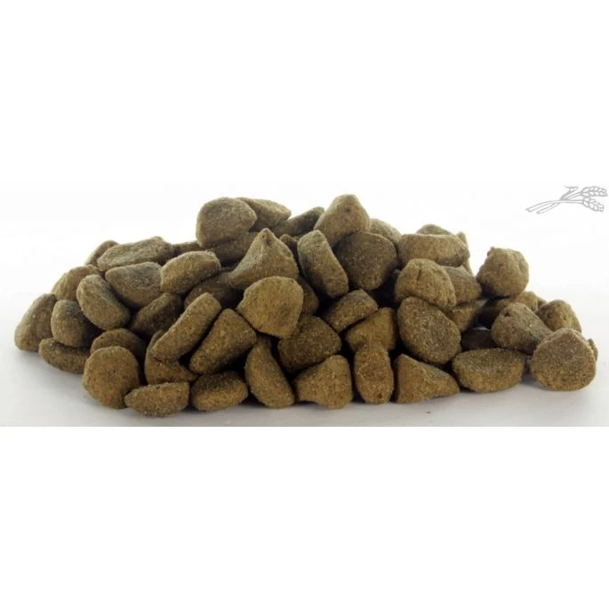 It's My Dog Fresh Salmon Grain Free 15 Kg - Afbeelding 3