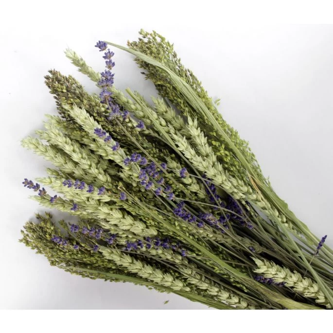 Pet Bouquet Koker Aves Minor - Afbeelding 2