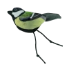 Wild Life Cat Great Tit (Koolmees)