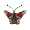Wild Life Cat Peacock Butterfly (Dagpauwoog)