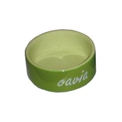 Cavia Eetbak Steen Groen. Inhoud: 1st. 12 Cm.