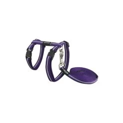 ROGZ AlleyCat Tuig+Lijn Purple Small. Aantal: 1 Stuks. Maat: 11mm - 3/8